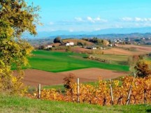 Consulta il mondo di Mon.D.O.