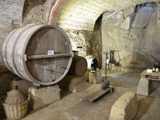 Vetrina del Vino e della Viticoltura Rosignanese