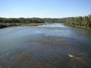 Aree Protette del Po Piemontese