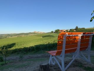 Big Bench - Panchina Gigante n. 107 a Vignale Monferrato