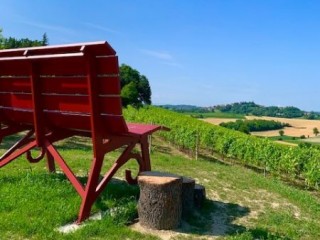 Big Bench - Panchina Gigante n. 148 ad Alfiano Natta