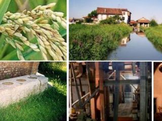 Antico Mulino Riseria San Giovanni - Ecomuseo delle Terre d'Acqua