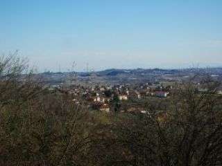 Comune Alfiano Natta