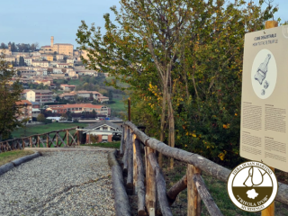 Tartufaia Didattica "Tabui"