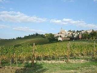 Comune Vignale Monferrato