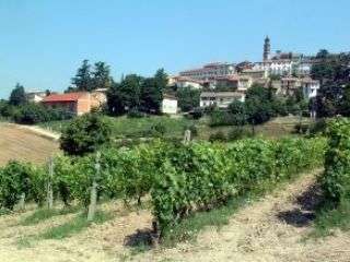 Comune Frassinello Monferrato